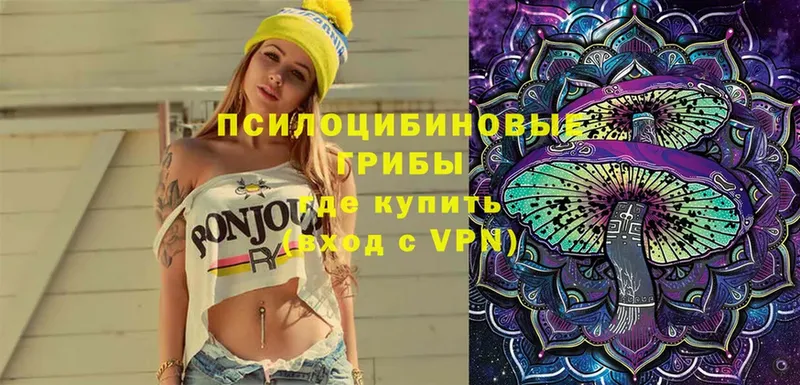 Псилоцибиновые грибы Magic Shrooms  Краснослободск 